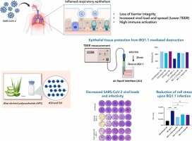 1-s2.0-S0753332225008510-ga1
